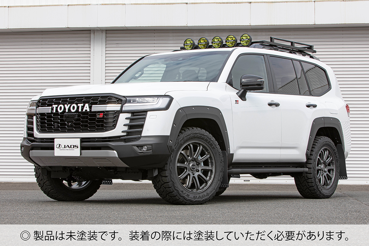 LAND CRUISER 300 メッキ サイドモール ガーニッシュ